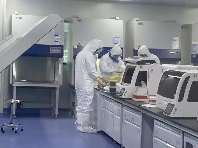 创业项目核酸自测(自己在家怎么做核酸检测)