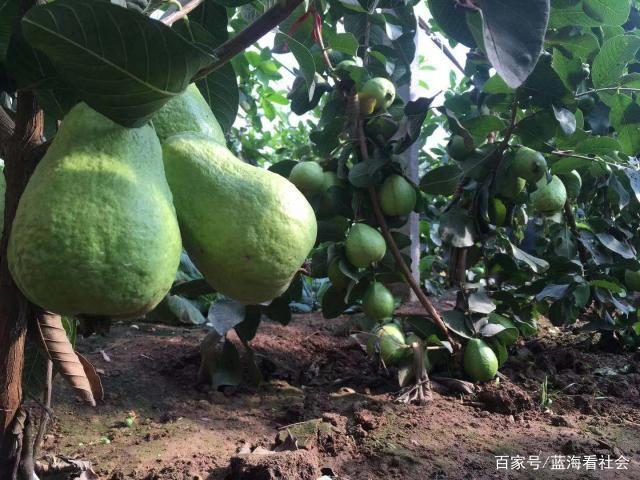 山东短视频创业项目(普通人如何用短视频创业？)