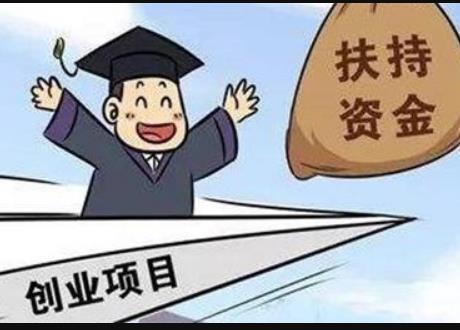 创业项目模板(创业模板？)