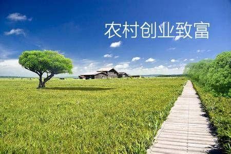 让创业项目(10个轻松创业项目)