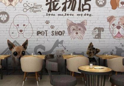 圩小区创业项目(适合小区做的生意有什么？)