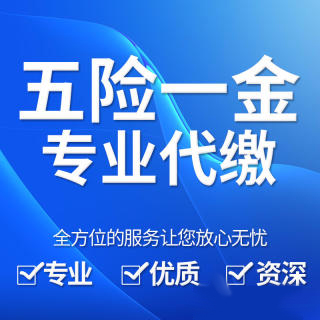 成都双流代办注册(成都双流代办营业执照)