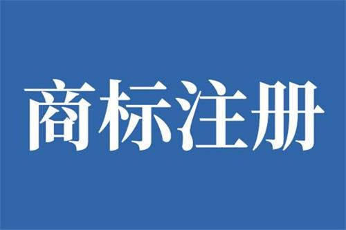 成都注册分公司需要的资料(成都注册公司需要哪些材料和流程)