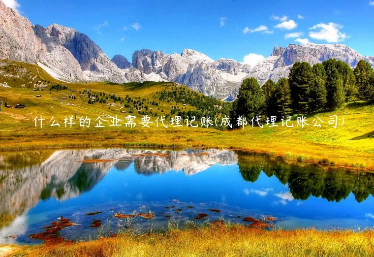 成都刚注册的公司需要代理记账么(成都刚注册的公司需要代理记账么吗)