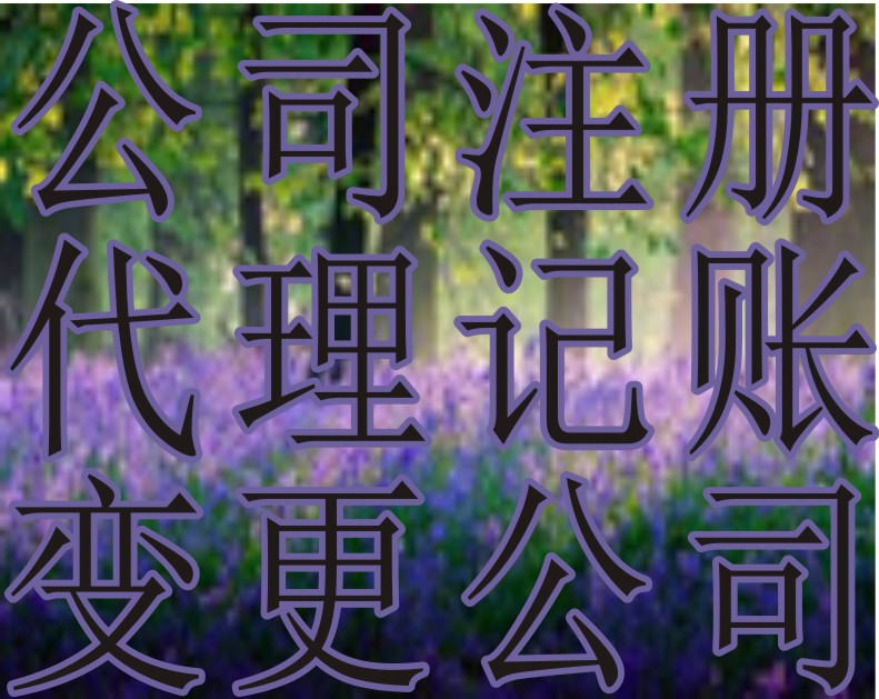 注册公司代注册成都(成都公司代办公司注册)