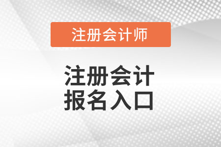 2022年成都注册会计师报名时间(2022年成都注册会计师报名时间及费用)