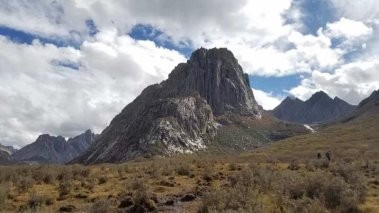 成都注册分公司去哪儿注册流程(成都注册分公司去哪儿注册流程及费用)