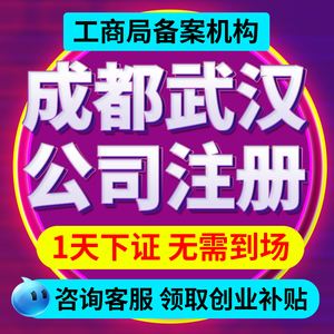 成都网上公司注册核名(成都网上公司注册核名流程)