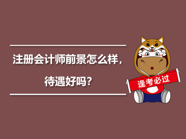 成都注册会计师工资待遇如何样(成都注册会计师工资待遇如何样啊)