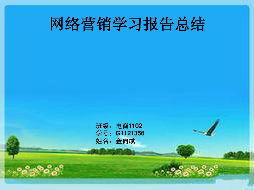 网络营销案例ppt(网络营销案例PPT怎么弄)